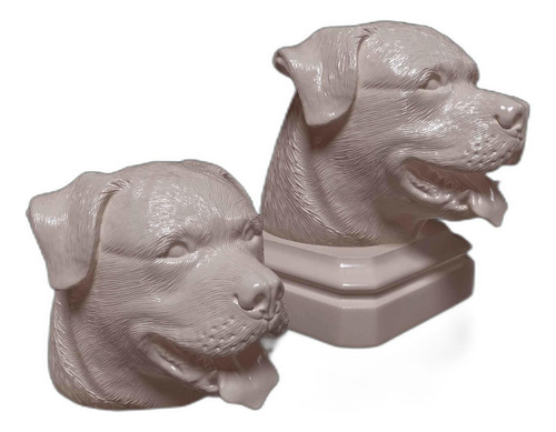 Imponente Cabeza De Rottweiler: Decoración Única