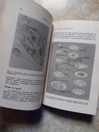 Livro - Processos De Evolução Orgânica (Usado)