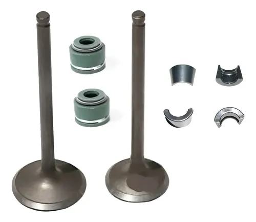 Kit Válvula Admisión Escape Veloci 250 Aggressor Alta Calida | Meses