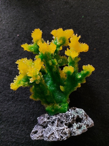 Adorno De Silicona Coral Soft. Mod. 1093 Base Hard/ 2 Tonos