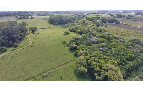 Exte. Chacra 6hás 4800m2 En Las Violetas