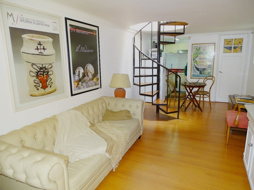 Imagen 2 de 13 de Loft Con Terraza / Amoblado