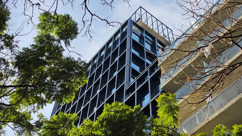 Virrey Arredondo 2424 - Oficina 182m2 - A Estrenar-