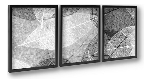 Quadros Textura De Folhas