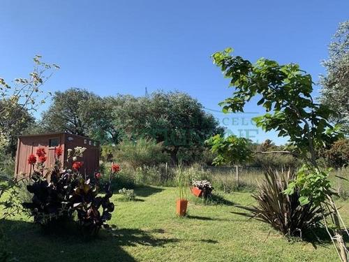 Imagen 8 de 30 de Casa Venta Club De Campo La Ranita Pilar Luján
