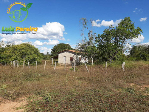 Imagem 10 de 12 de Fazenda À Venda Em Nova Olinda - To - 968 Hec (pecuária) - 1876