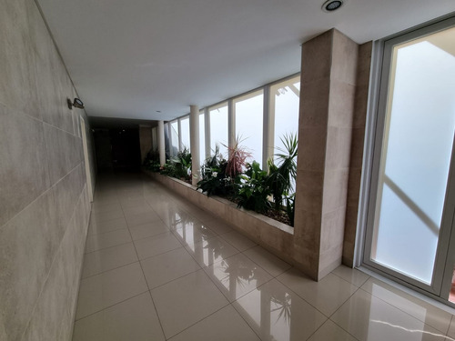 Imagen 17 de 25 de Venta Departamento Semipiso 3 Amb. Con Dependencia