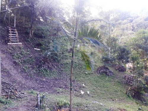 Sítio Rural A Venda Em Benedito Novo/sc - 1738c