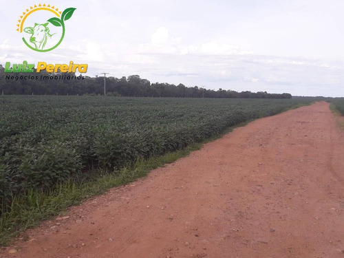 Imagem 9 de 13 de Fazenda À Venda Em Peixe - To - De 185 Alqueirões (dupla Aptidão) - 1727