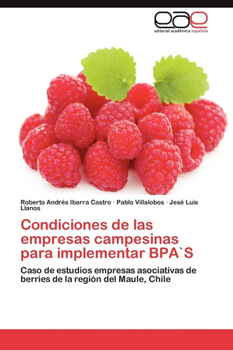 Libro: Condiciones Empresas Campesinas Implement