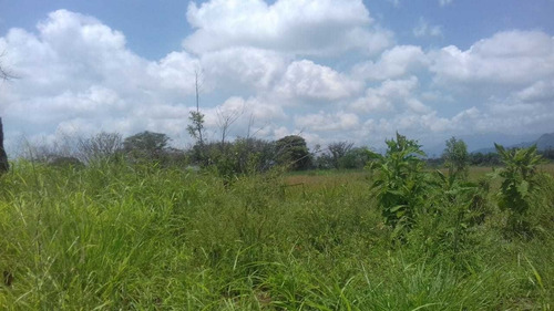 Imagen 5 de 8 de Se Vende Terreno En Sta. Gertrudis (fortin) ¡ideal Para Desarrolladores!