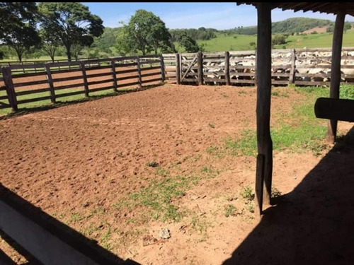 Fazenda À Venda Em Echaporã/sp - Fa00122 - 69026868