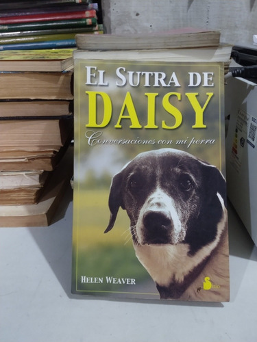 El Sutra De Daisy Helen Weaver (Usado)