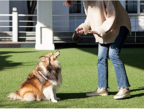Fida Correa Retráctil Para Perros De Raza X-small, Correa Du