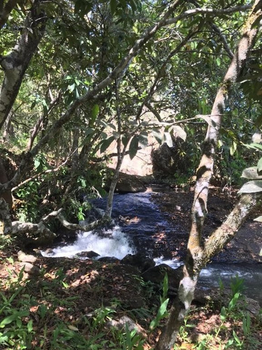 Imagem 3 de 10 de Chácara Com 1 Dormitório À Venda, 20000 M² Por R$ 295.000,00 - Zona Rural - Abadiânia/go - Ch0109