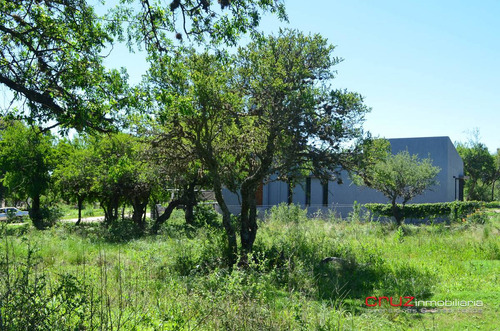 Imagen 8 de 14 de Lote De 1000m2 En Barrio Solares, Pegado A Las Moreras