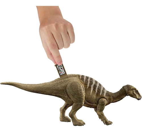 Imagen 3 de 5 de Jurassic World Iguanadon Ruge Y Ataca Mattel Con Sonidos