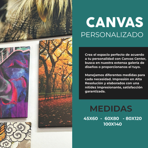 Cuadro Lienzo Canvas Monumento Revolucion Dibujo Sala 50*60c