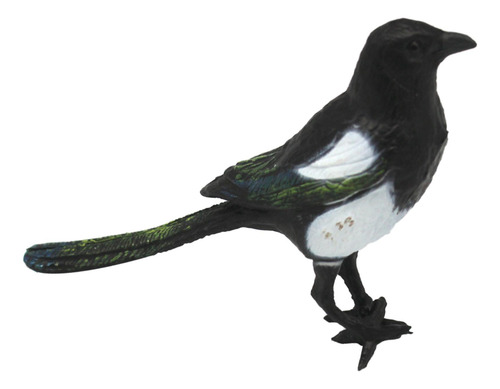 3 Simulação De Pássaro Pega, Figuras De Pássaros,