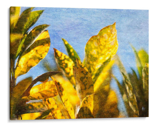 Canvas Lab Cuadro Sol Hacia La Ii 60x45, Emily Robinson