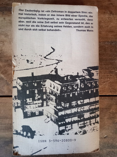 Thomas Mann Der Zauberberg