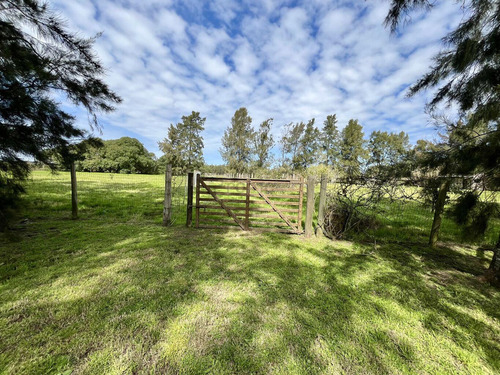 Venta Chacra Atlántida - 4 Dormitorios Y 3 Baños