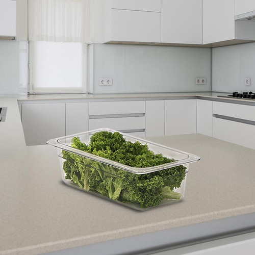 Inserto Tercio 1/3 Policarbonato C Tapa 10 Cm Cambro Shorbul