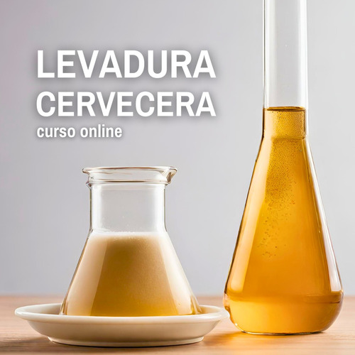 Curso Online - Reutilización De Levadura - Certificado