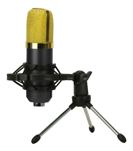 Micrófono Condensador  Profesional Bm- 800  Kit Completo