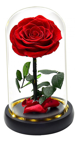 Rosa En Cúpula De Cristal Con Luces Flor Regalos Del Día