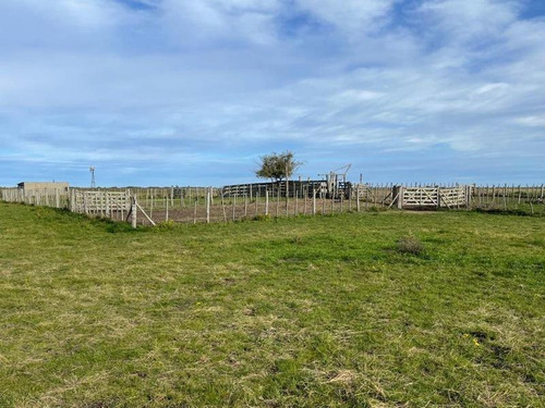 Imagen 6 de 19 de Campo En Venta !!! Gral Lavalle