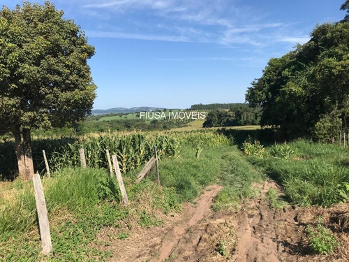 Imagem 11 de 11 de Fazenda - Fa00003 - 69374597