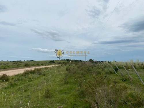 Campo En Garzon - Ideal Para Uso De Descanso - Consulte!!!!- Ref: 3606