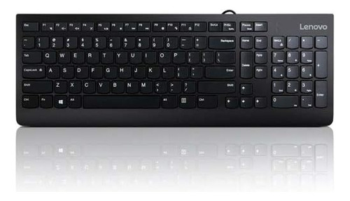 Lenovo 300 Teclado Usb Con Cable  Inclinacion Ajustable  Er