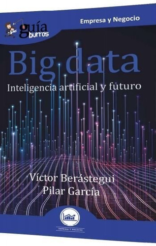 Libro Guã­aburros Big Data - Berã¡stegui, Vã­ctor