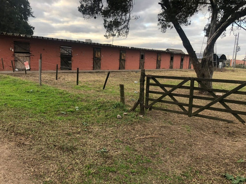 Imagen 3 de 24 de Lote Con Caballerizas Vende O Permuta