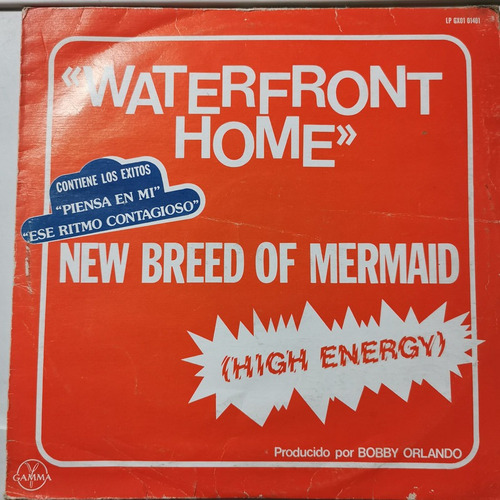 Disco Lp: Waterfront Home-high Energy