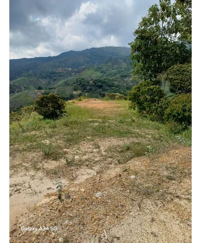 Venta Lote Campestre De 2.000 Mts2 En La Buitrera. 12971-1.