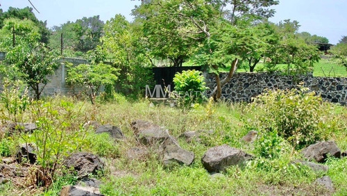 Imagen 2 de 9 de Oaxtepec - Terreno Habitacional Y Comercial / Residential An