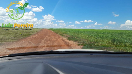 Imagem 9 de 15 de Fazenda À Venda Em Divinópolis - To - De 1.476 Hectares - 1747