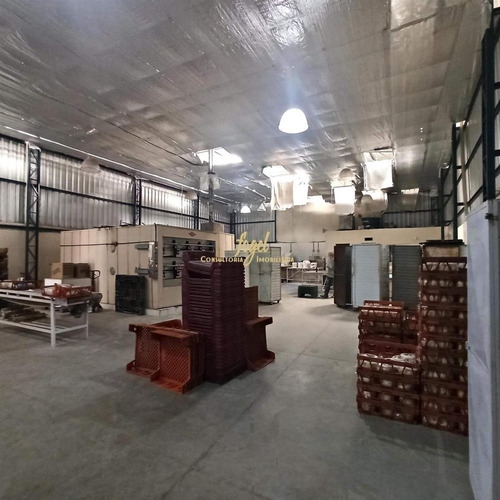 Imagem 4 de 12 de Novo Triunfo - Excelente Galpão Com 340m² Em Localização Privilegiada - Acesso Fácil - Gl2013v9