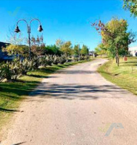 Imagen 16 de 20 de Venta De Terreno En Santa Isabel
