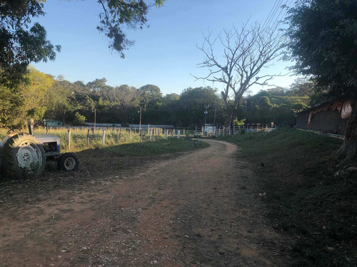 Imagen 4 de 4 de Granja Avícola De 11 Hectáreas De Propiedad Privada