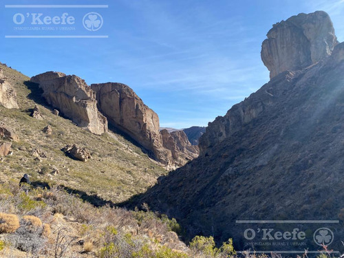 Campo En Venta De 635 Has Bariloche, Costa Del Pichileufu, Rio Negro.