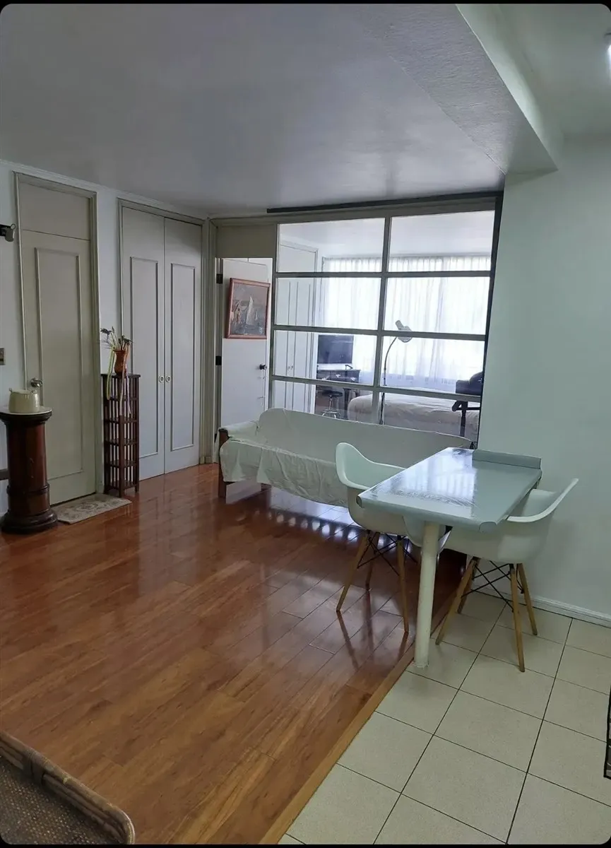 Imagen 1 de 13 de Departamento En Arriendo De 1 Dorm. En Providencia