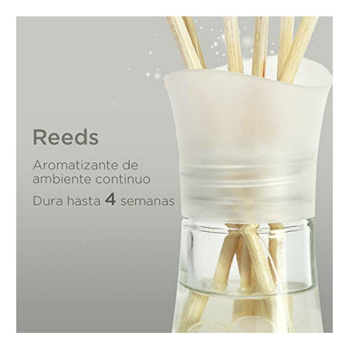 Air Wick Reed Diffuser Aromatizante De Ambiente, Midnight