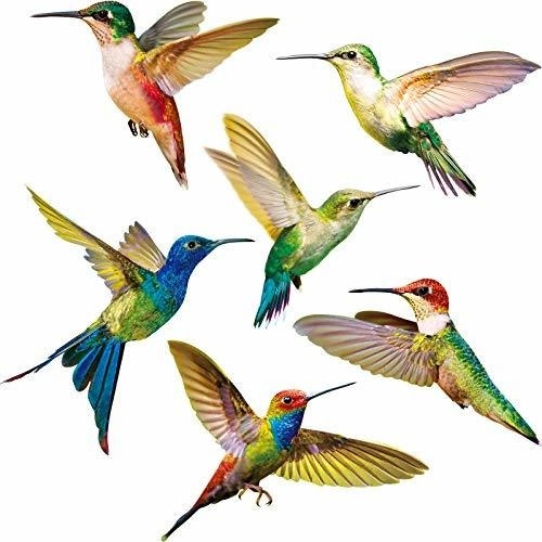 6 Piezas De Adhesivos De Ventana De Colibrí De Gran Tamaño