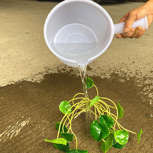 Cucharón De Agua Agrícola De Plástico Con Mango Corto Para J