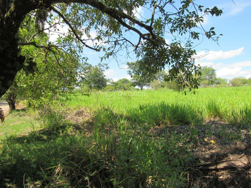 Imagem 6 de 6 de Terreno À Venda Em Sousas - Te008779