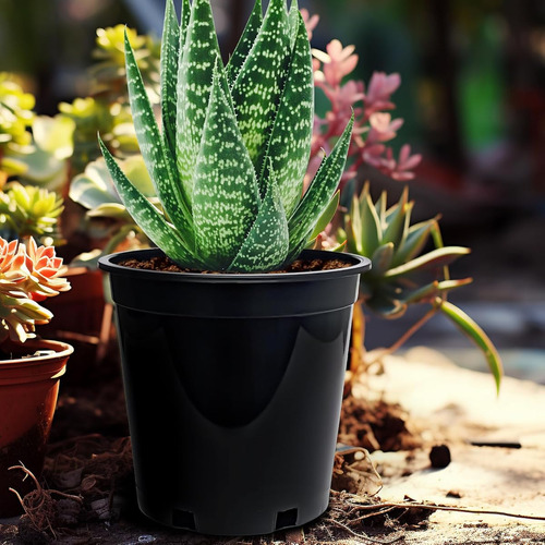Maceta De Plastico De 19 Cm Con Agujeros Drenaje Negro 15 Pz